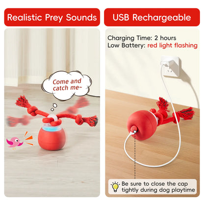 Potaroma Interactive Ball Dog Toy - Automatic Rolling, Squeaky Touch-Activated, Rechargeable Dynamic Motion Toy with Tough Rope for Small/Medium Puppies, Reduces Boredom, Dark Red Chasing Game Ready