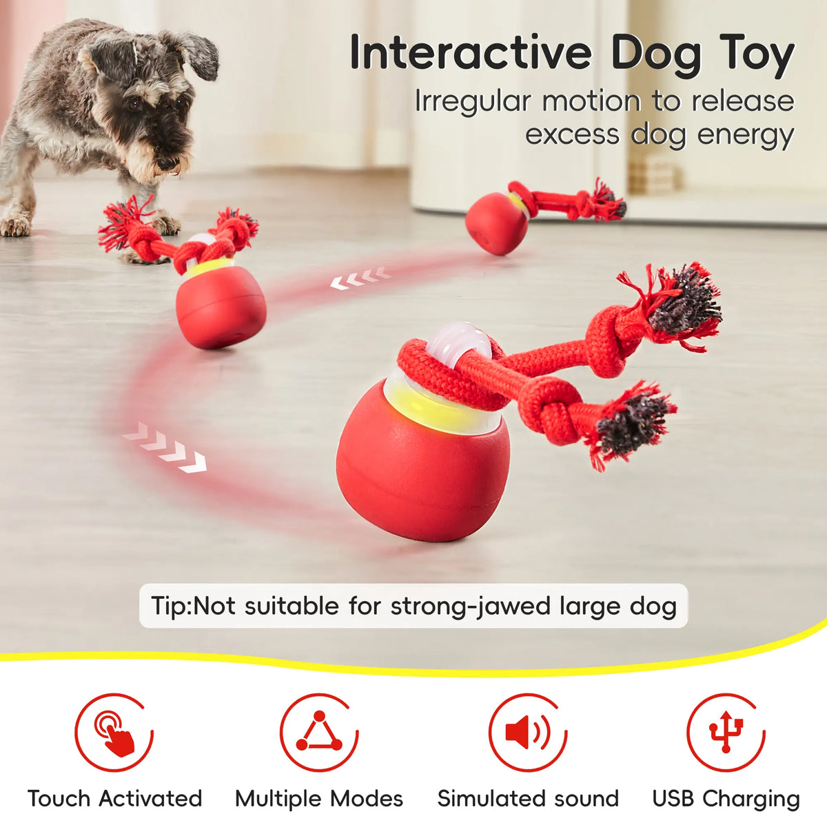 Potaroma Interactive Ball Dog Toy - Automatic Rolling, Squeaky Touch-Activated, Rechargeable Dynamic Motion Toy with Tough Rope for Small/Medium Puppies, Reduces Boredom, Dark Red Chasing Game Ready